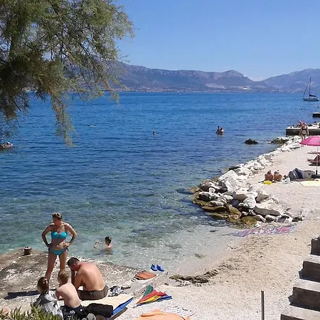 Ancica